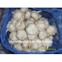 2011 china garlic price in china